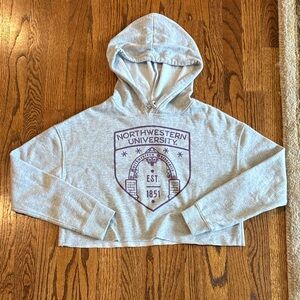 Northwestern Cropped Hoodie